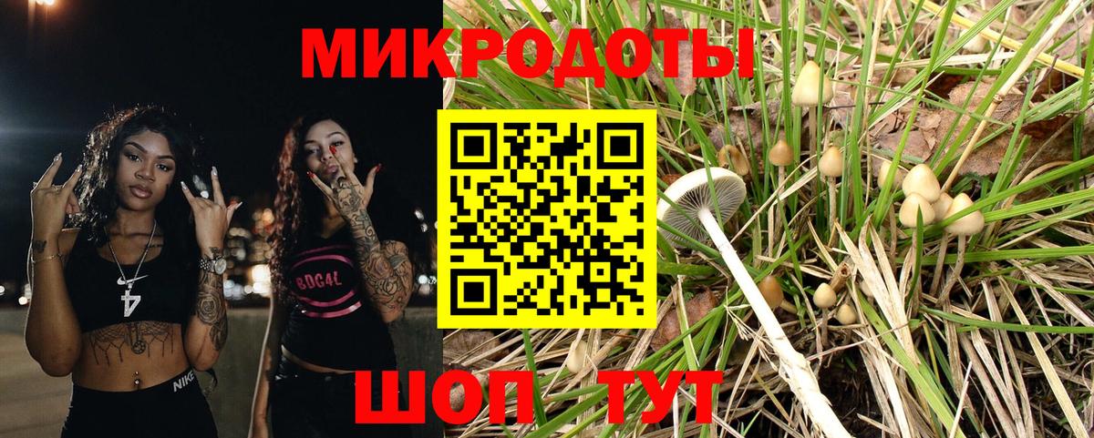 Псилоцибиновые грибы прущие грибы Похвистнево