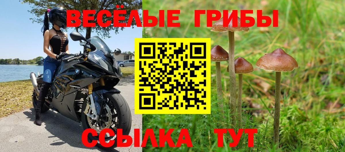 Похвистнево  Псилоцибиновые грибы GOLDEN TEACHER  Вход с VPN 